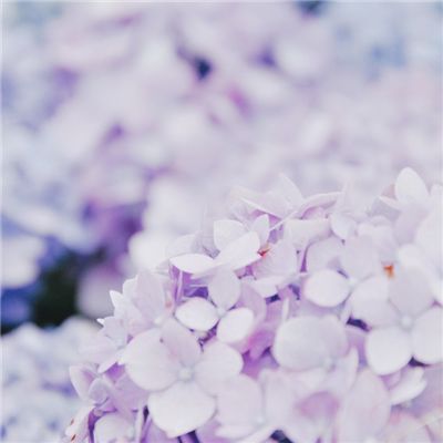 螺旋圆舞曲taptap下载